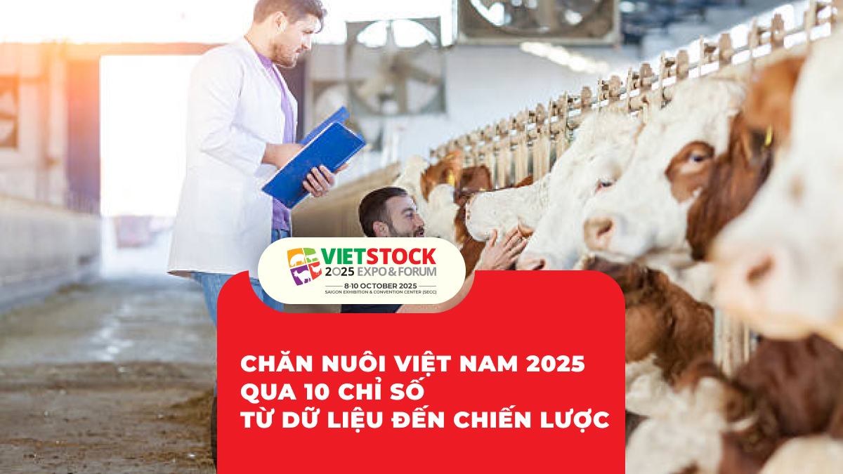 Chăn Nuôi Việt Nam 2025 Qua 10 Chỉ Số Từ Dữ Liệu Đến Chiến Lược